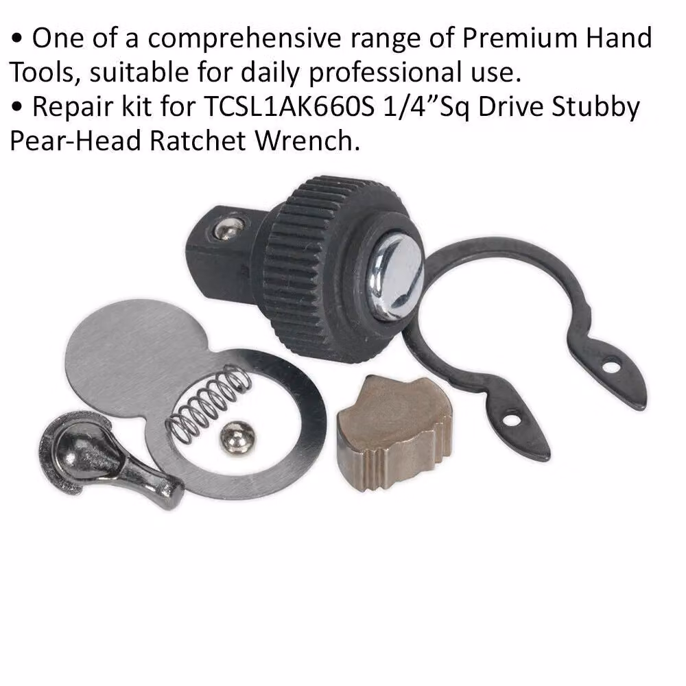 Loops 1/4 Inch Sq Drive Repair Kit for ys01573 48-Tooth Ratchet Wrench in Silver and Multicolour – 2