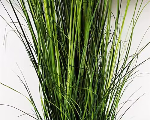 Extra Large Artificial Tropical Leaf Grass Plant in a Silver Metal Tabletop Planter, Green – 2