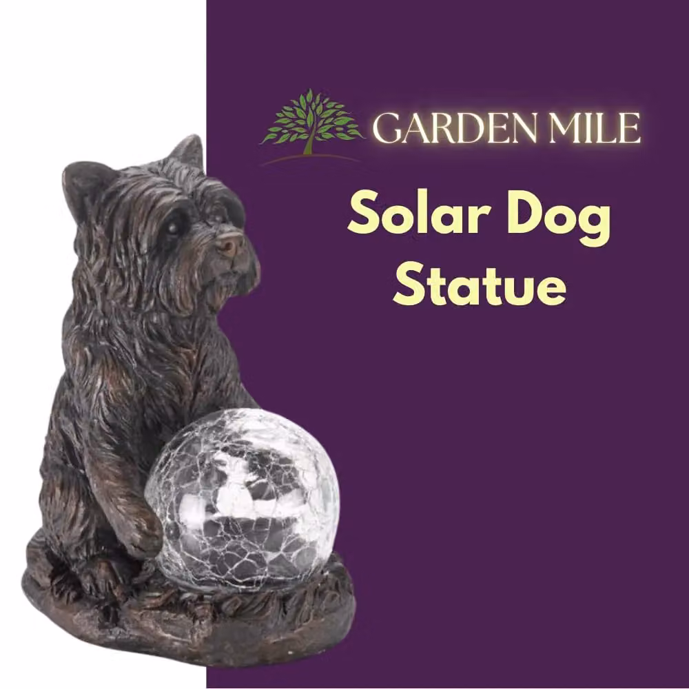 Marco Paul Multicolour Solar Powered Dog Garden Ornament – 4