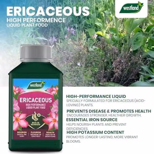 Westland Ericaceous Liquid Plant Food and Tonic, 1L – 7