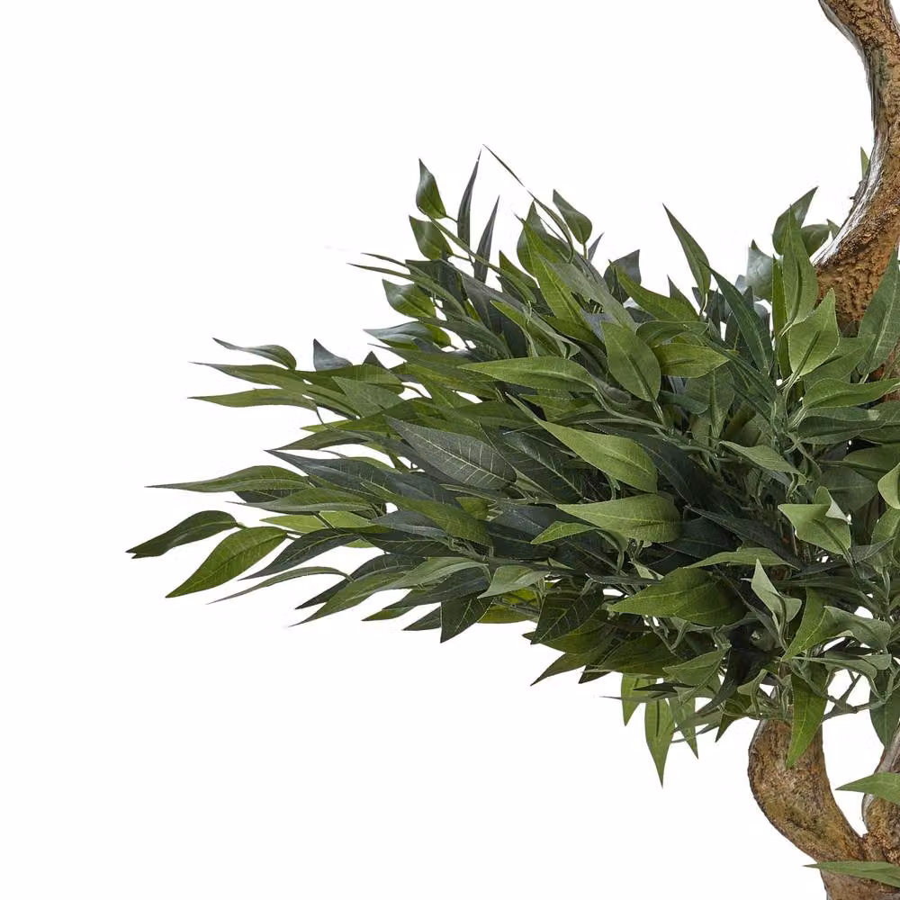 Wyld and Coco Artificial Potted Ruscus Tree, Green with Concrete Base, Height: 166 cm – 3