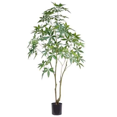 Botanik Artificial Money Tree Pachira Realistic Faux Plant in Green – 2
