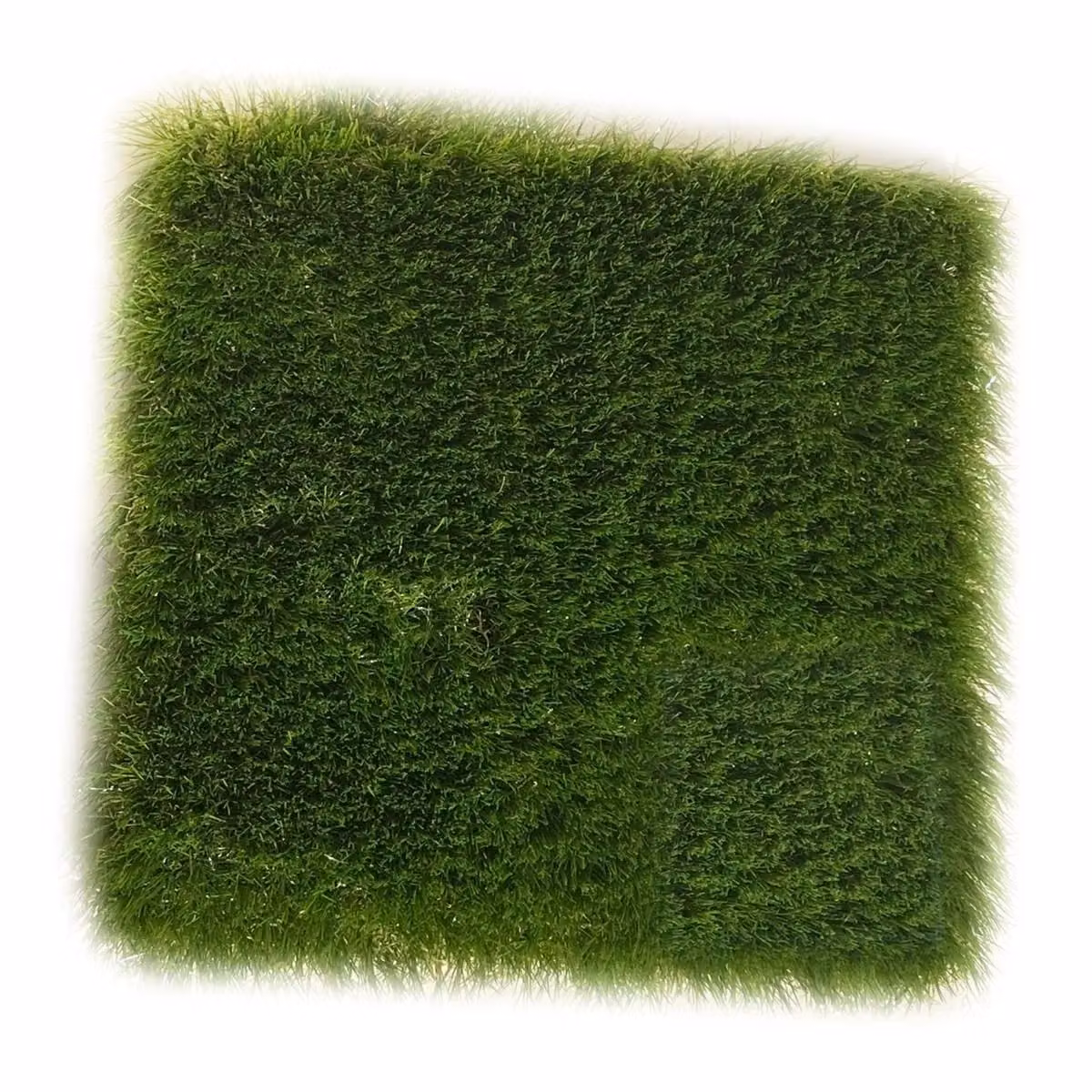 GB Oakmount 38mm Artificial Grass in Green and Brown, W: 400 cm, D: 200 cm – 4