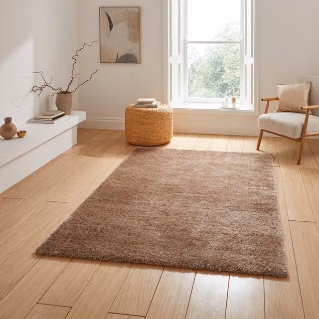 Terrys Lux Shaggy Rectangular Rug in Brown Polyester