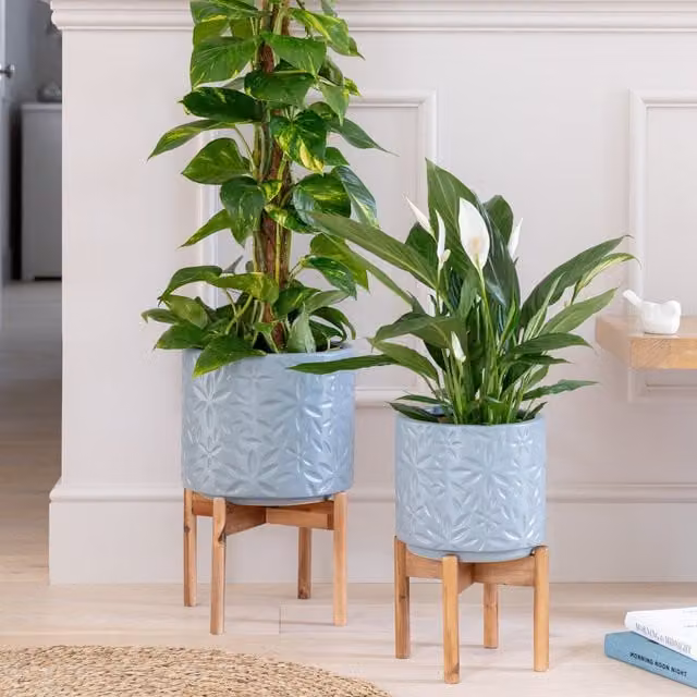 Ivyline Aspen Ceramic Flower Planter in Dusty Blue, H34 x D22 cm