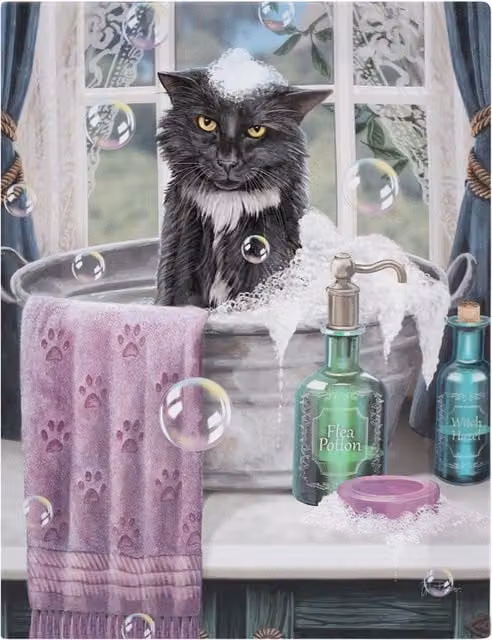 Lisa Parker Bath Time Multicolour Cat Illustration Canvas Wall Decor, W: 25 cm, H: 19 cm