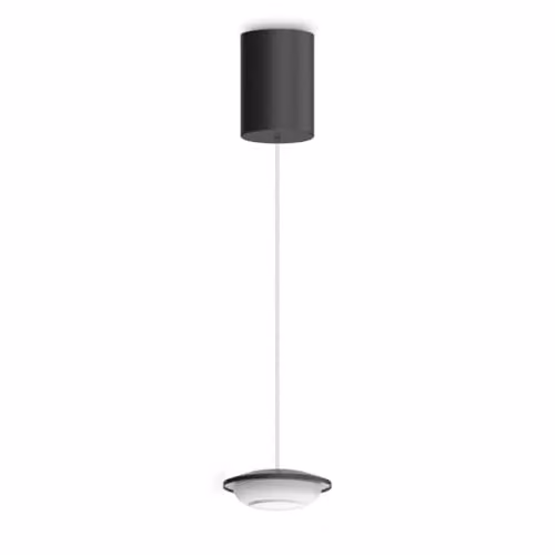 Netlighting Mapa Mini LED Pendant Ceiling Light, Black, 3000K, Diameter: 7.5 cm