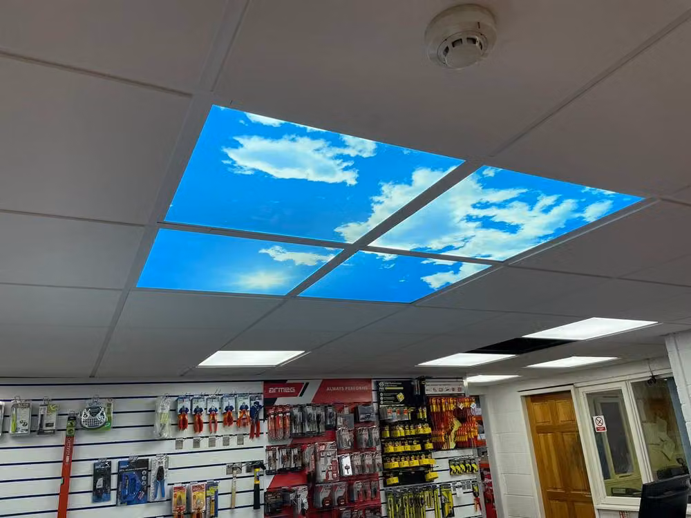 ENER-J SKY Cloud LED 2D Surface Panel, White, W: 60 cm, D: 60 cm, 40W – 2