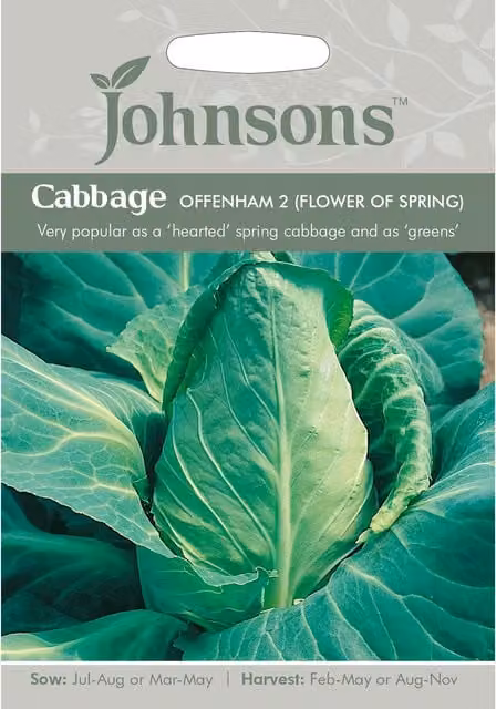 Johnsons Offenham Flower Of Spring Cabbage Vegetable Seeds