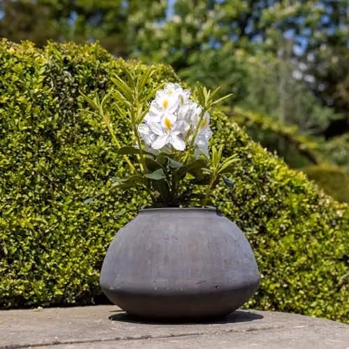 Primrose Round Concrete Planter Vase in Brown or Grey, Height: 21 cm or 31 cm – 1