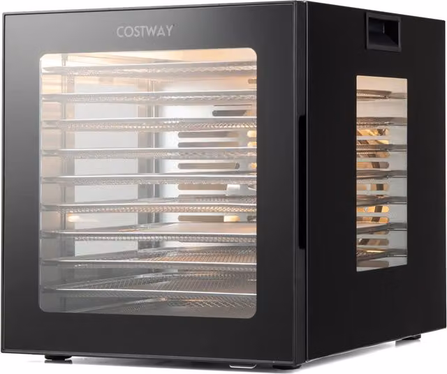 COSTWAY Black Timer Kettle with Overheat Protection and Stainless Steel Construction