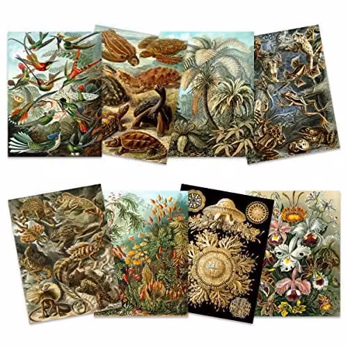 Artery8 Ernst Haeckel Kunstformen Der Natur Biology Art Print Poster Pack of 8, Multicolour Nature and Sea Life Illustrations