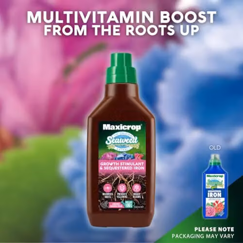 Maxicrop Sequestered Iron and Natural Seaweed Plant Tonic, 500ml – 7
