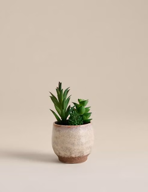 M&S Artificial Mini Green Succulent in a Round Ceramic Pot