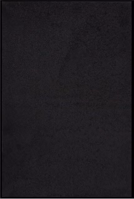 Berkfield Home Black Non-Slip Brushing Doormat, W: 80 cm, L: 120 cm – 1