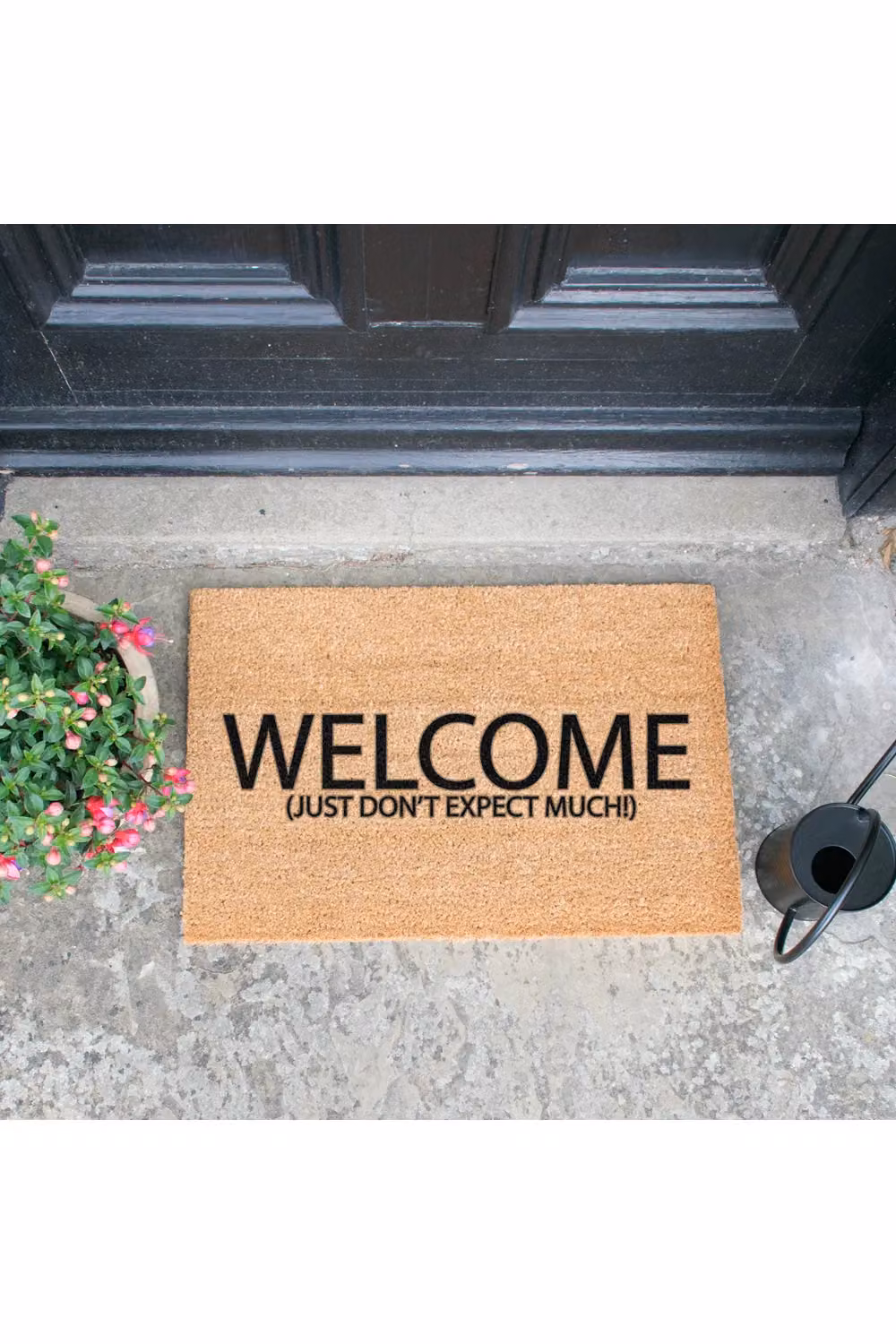 Artsy Mats Welcome Don't Expect Much Doormat in Black and Brown, W/D: 60 x 40 cm – 3