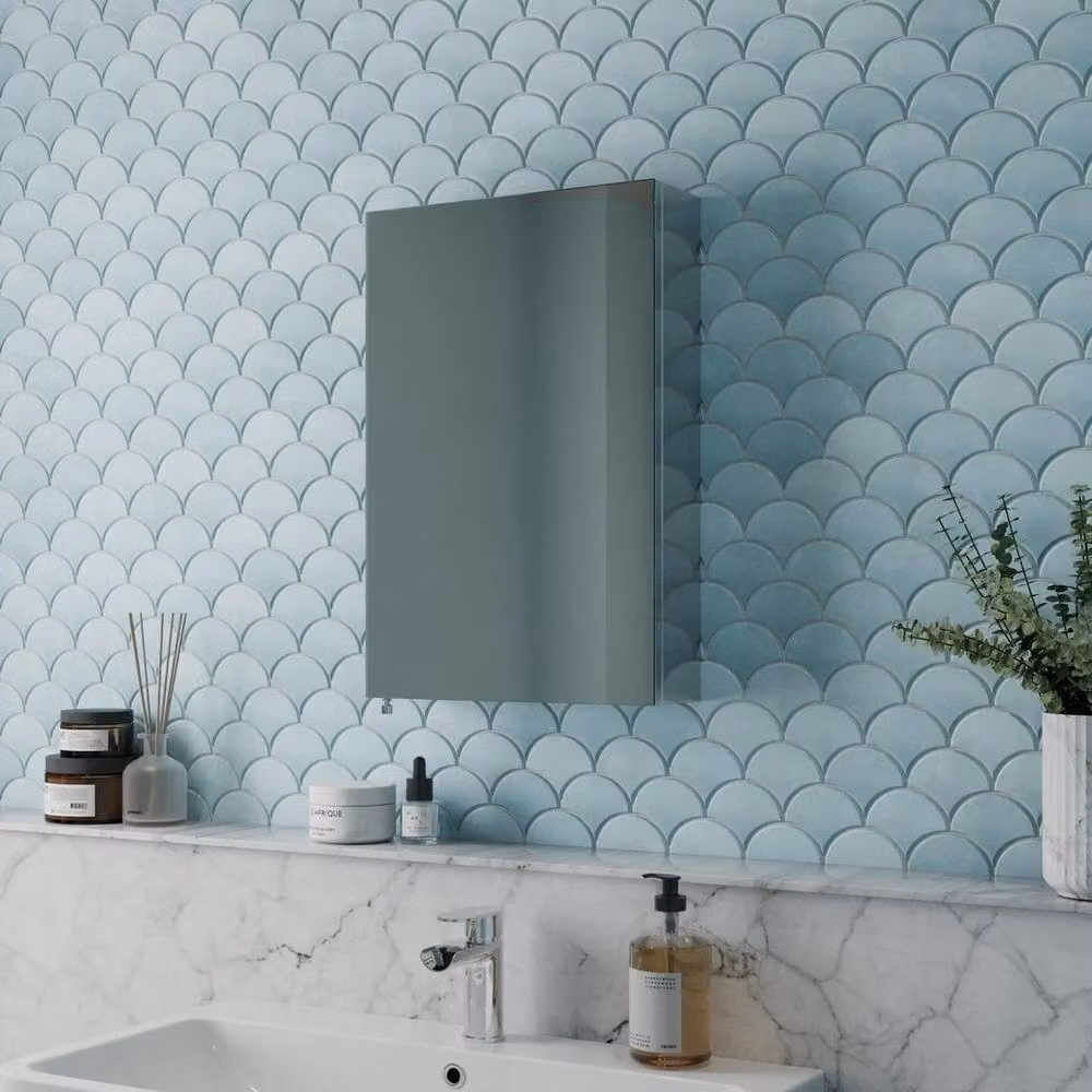 FORGEVIO Single Door Stainless Steel Mirror Cabinet in Silver – 2