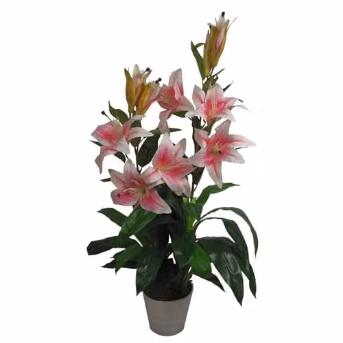 Leaf Design UK Realistic Artificial Pink Stargazer Style Lily Plant, Height: 90 cm