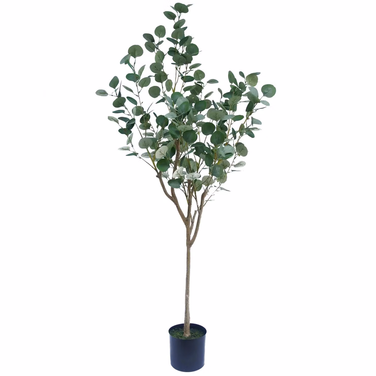 Botanik UK Leaf 150cm Premium Artificial Eucalyptus Tree in Green – 3