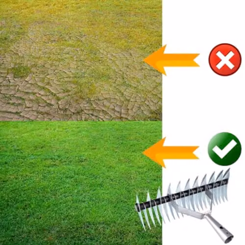 SolaDirect Manual Lawn Aerator Scarifier Head and Dethatching Rake for Moss Removal, Multicolour – 6