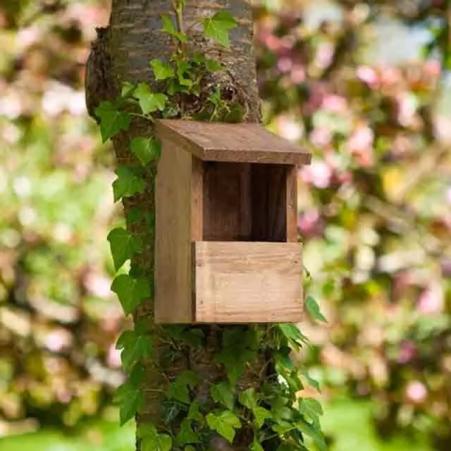 Garden Mile Wooden Robin Nest Box in Brown