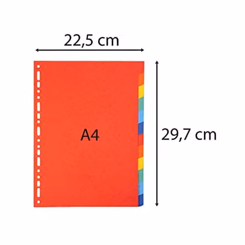 Exacompta Forever Collection 12-Position Recycled Dividers for A4 Documents, 220gsm, Multicoloured – 2