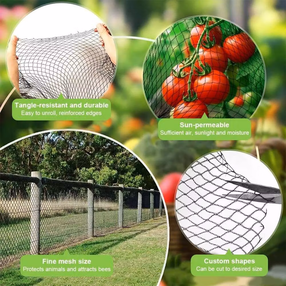 KORVIXA Black Anti Bird Netting for Vegetable and Ornamental Gardens, 20m – 3