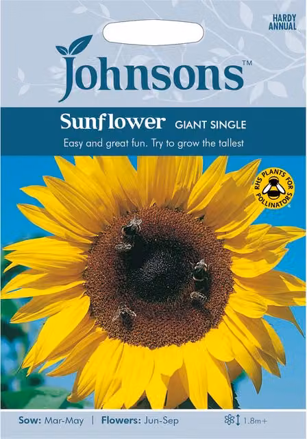 Johnsons Sunflower Giant Single Seeds, Yellow Ornamental Garden Flower Seeds