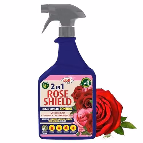 Doff 2 in 1 Rose Shield Bug and Fungus Control Spray, 1 l