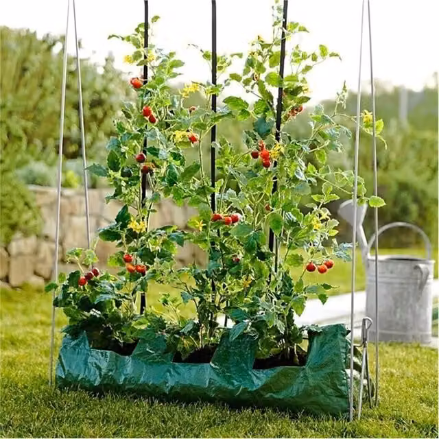 Havendro Silver Steel Vegetable Plant Grow Frame and Climbing Support for Vegetable Gardens