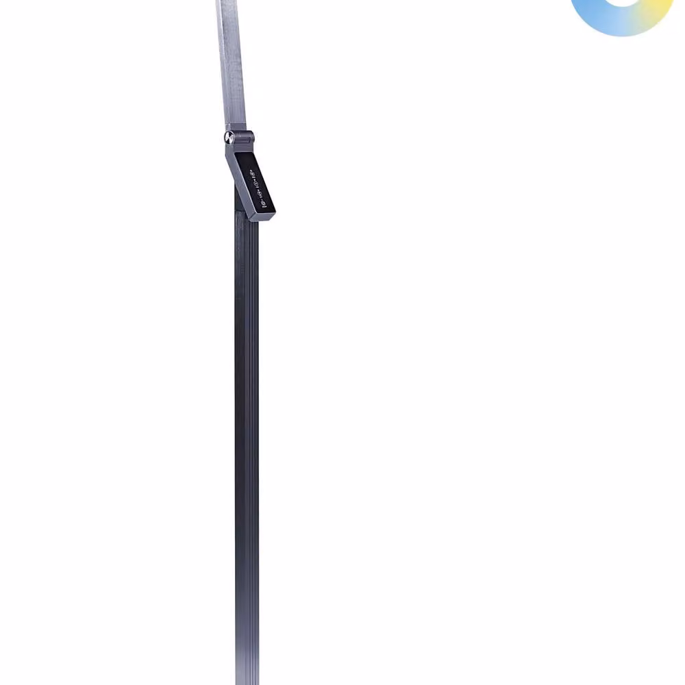 Wyld and Coco LED Floor Lamp in Grey, Dimmable and Adjustable Colour Temperature, Height: 170 cm – 2