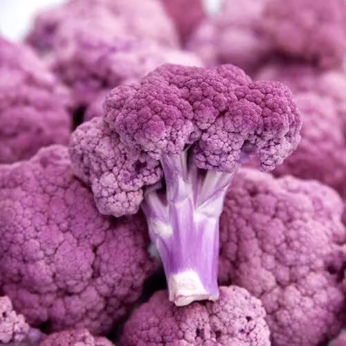 Thompson & Morgan Cauliflower DePurple F1 Seeds, Lavender-Blue Florets, 12 Seeds per Packet – 2