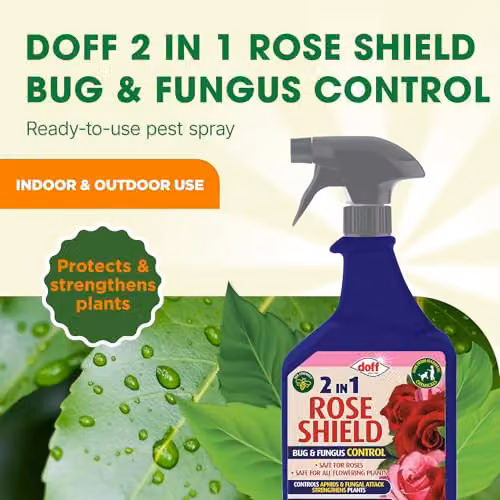 Doff 2 in 1 Rose Shield Bug and Fungus Control Spray, 1 l – 2