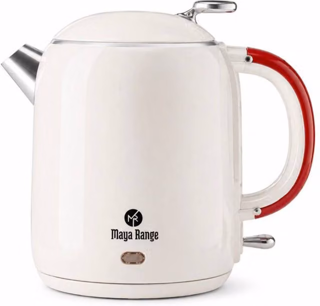 Dyzi 1L Stainless Steel Electric Cordless Kettle in White, 2200W