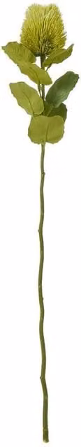 Hill Interiors Banksia Stem Artificial Plant in Green, Height: 59 cm