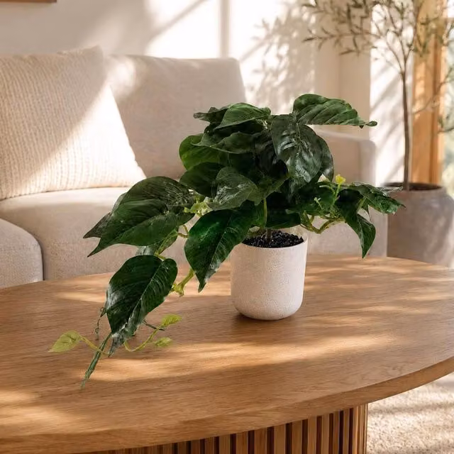 Botanik Realistic Artificial Green Potted Plant in a White Tabletop Pot, H 30 cm x W 20 cm x D 20 cm – 1