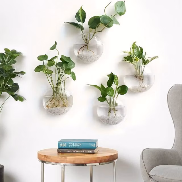 Set of 4 Lifeideas Round Wall-mounted Glass Vases in Transparent and White, H 15 cm x W 15 cm x D 15 cm