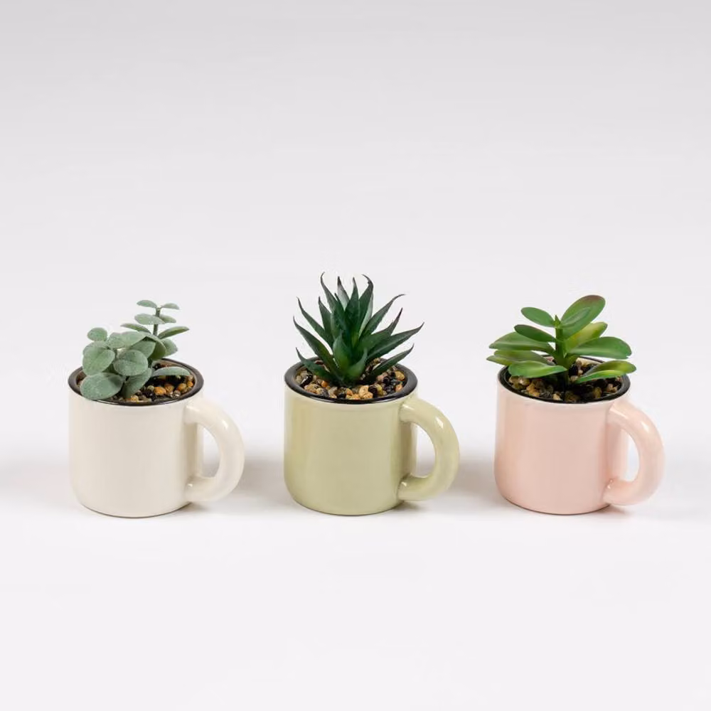 Scottish Everlastings Ltd Set of 3 Multicolour Ceramic Succulent Cups – 2