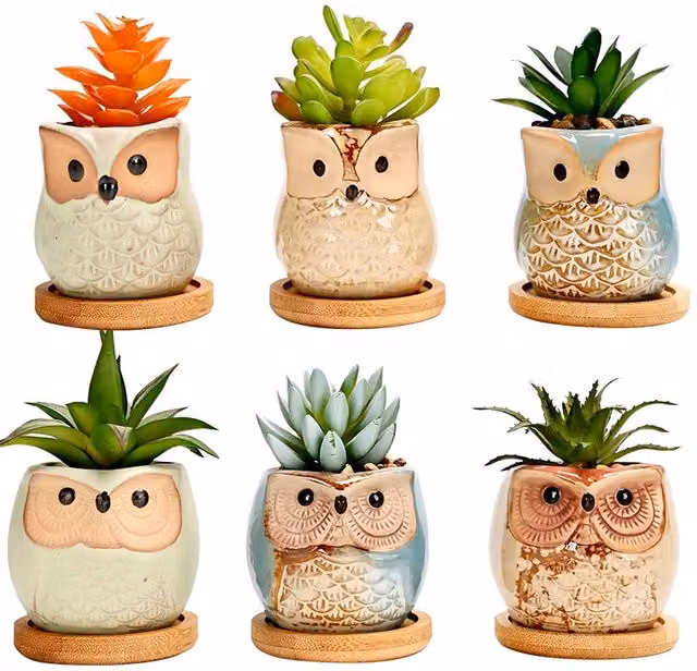 Simpa 6-Piece Decorative Owl Themed Ceramic Plant Pots with Wood Base, Multicolour and Terracotta, H 7.3 cm x Dia 7.3 cm