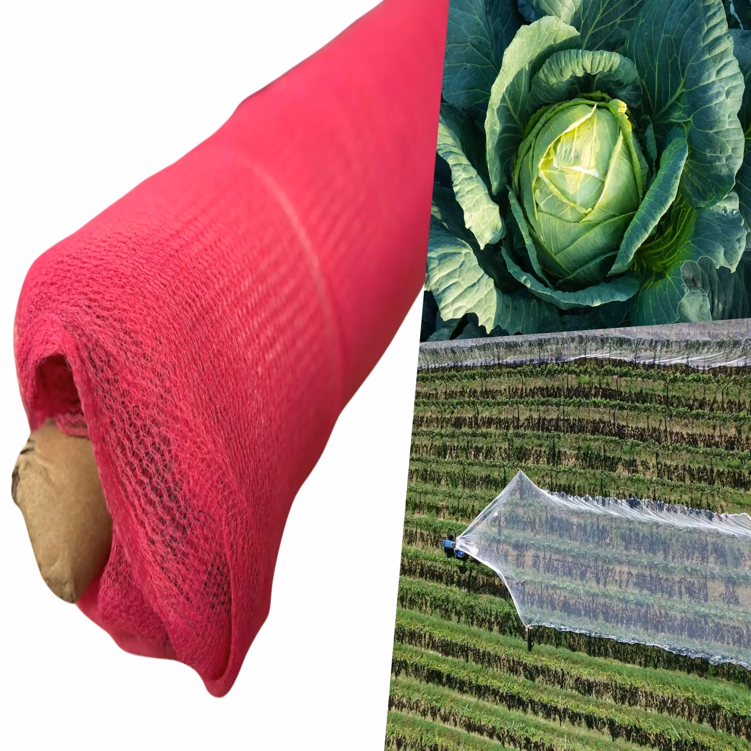 Pegdev Pink Heavy Duty UV Stabilised Plant and Crop Protection Netting, W: 2 m, L: 26 m – 3