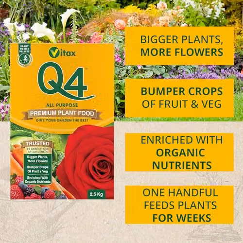 Vitax Q4 All Purpose Slow Release Plant Food and Fertiliser, 2.5 kg, Yellow – 4