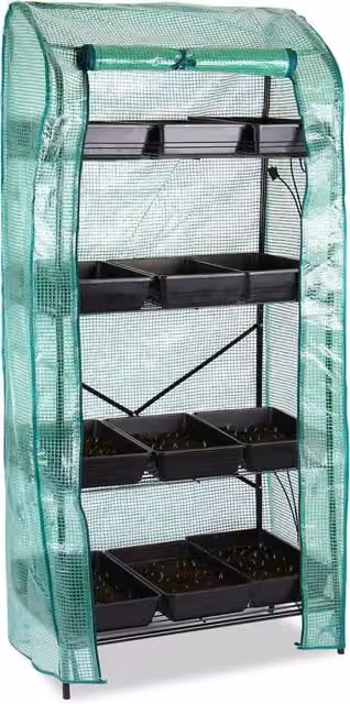 Lacewing 4 Tier Mini Greenhouse Shelving Frame with Removable Transparent Cover, Green