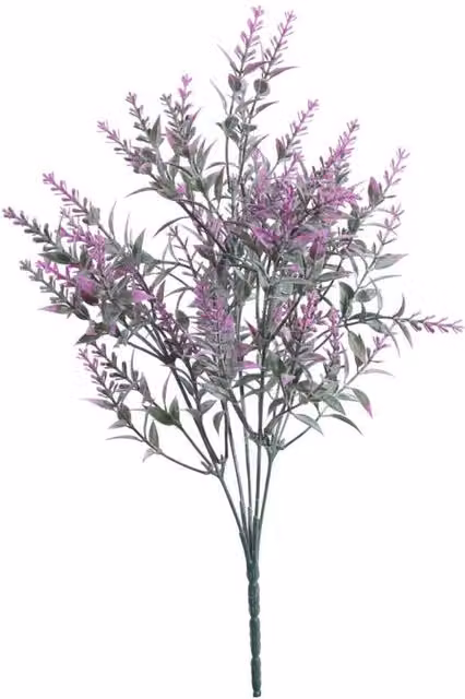KDMD Pink and Purple Lavender Bush, 4 Pack, Height: 33 cm