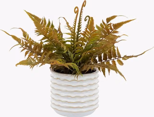 Perch & Parrow Faux Faded Fern in a White Ceramic Pot