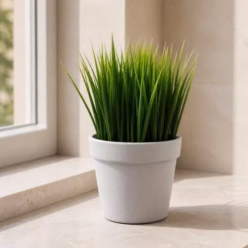 Leaf UK Realistic Artificial Grass Plant in Green, Height: 22 cm – 5