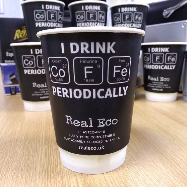 REAL ECO 100 Pack Double Wall Fully Biodegradable Disposable Paper Cups, 12oz, Black