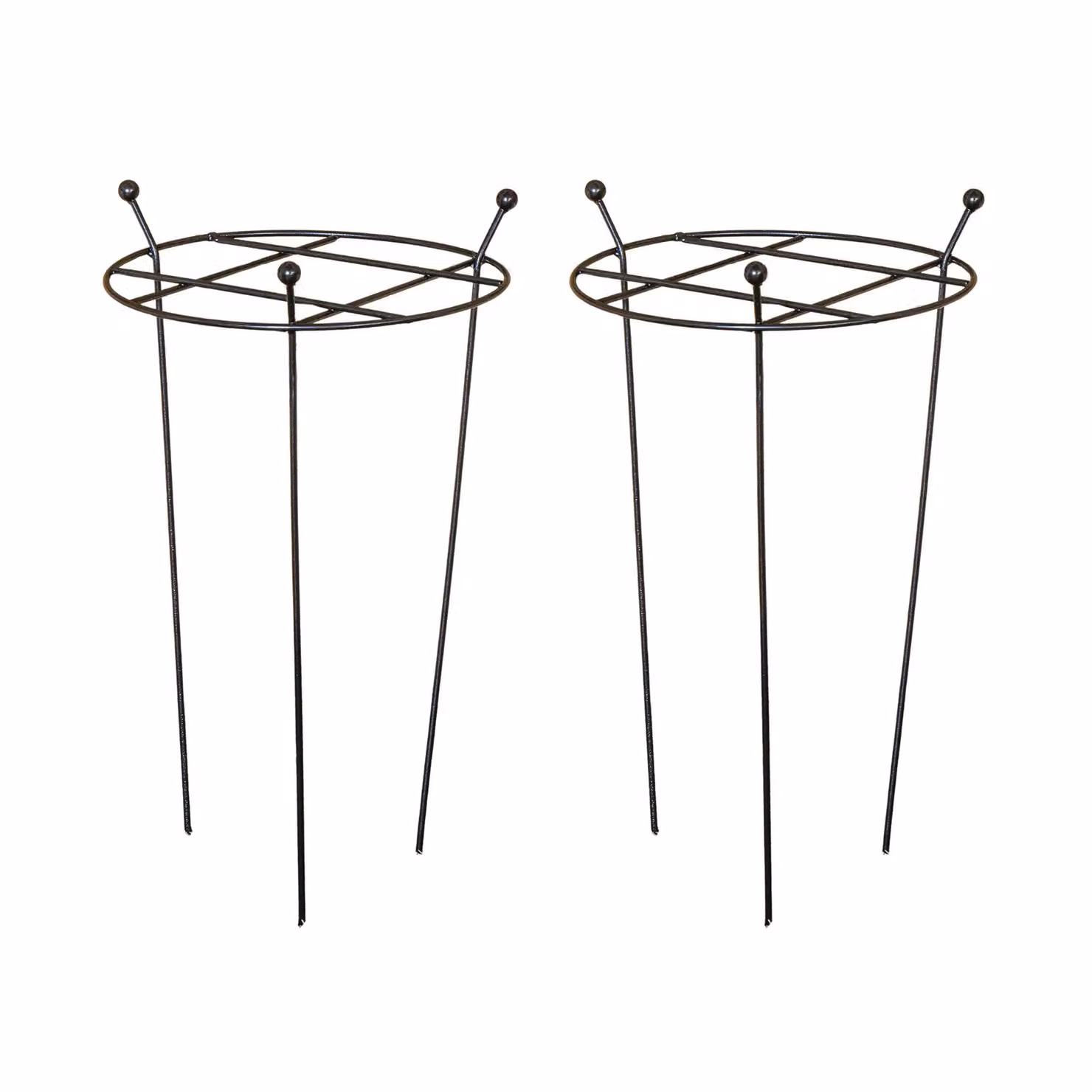 Tom Chambers Cottage Heavy Duty Black Steel Herbaceous Garden Plant Support, Pack of 2, W/D/H: 60 x 35 cm – 4