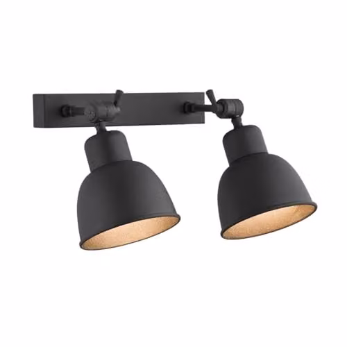 Argon Modern 2-Bulb Metal Dome Wall Light in Black