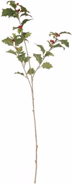 KDMD Mixed Green Holly Spray, 3 Pack, 63 cm