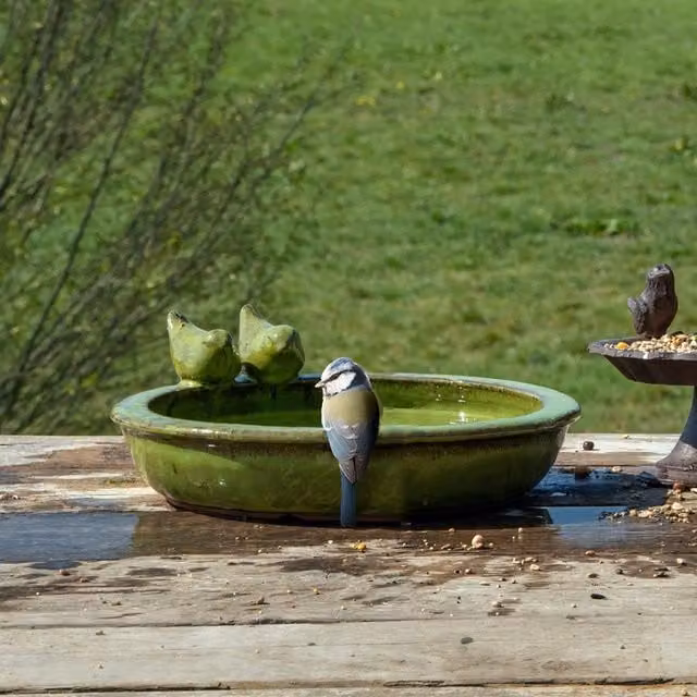 Primrose Round Glazed Ceramic Bird Bath Bowl in Petrol Blue and Green